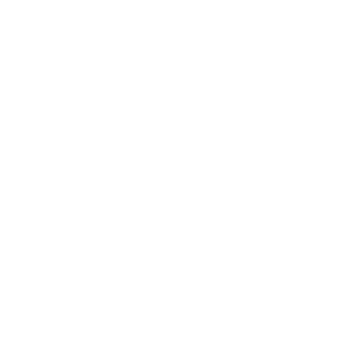logoconacytgrande2